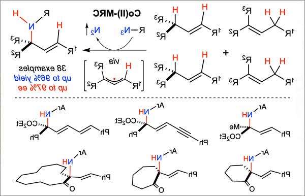 分子间自由基丙烯丙基C−H胺化同步控制的金相方法